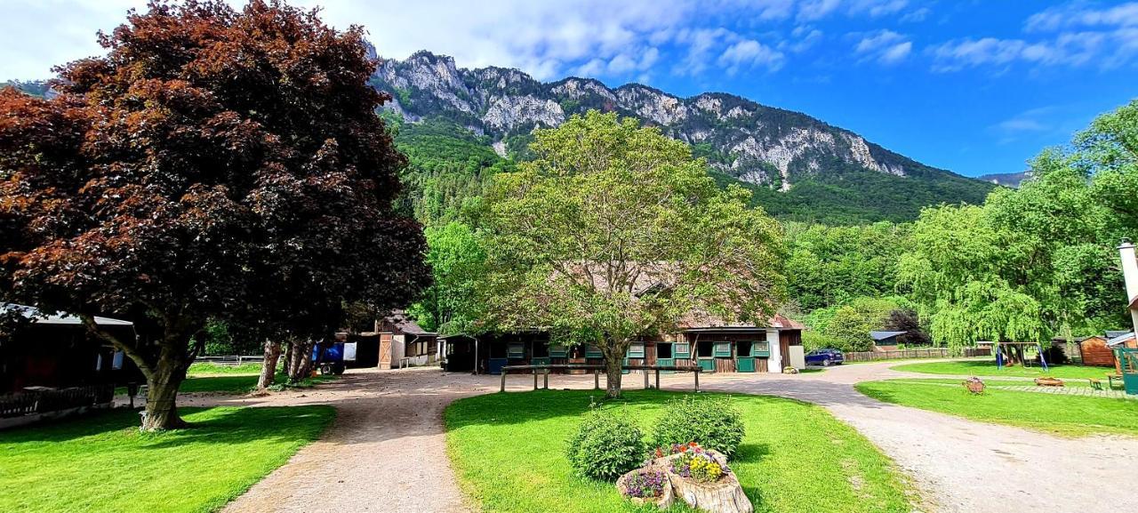 Muehle In Der Pferdewelt Reichenau Apartment Ngoại thất bức ảnh