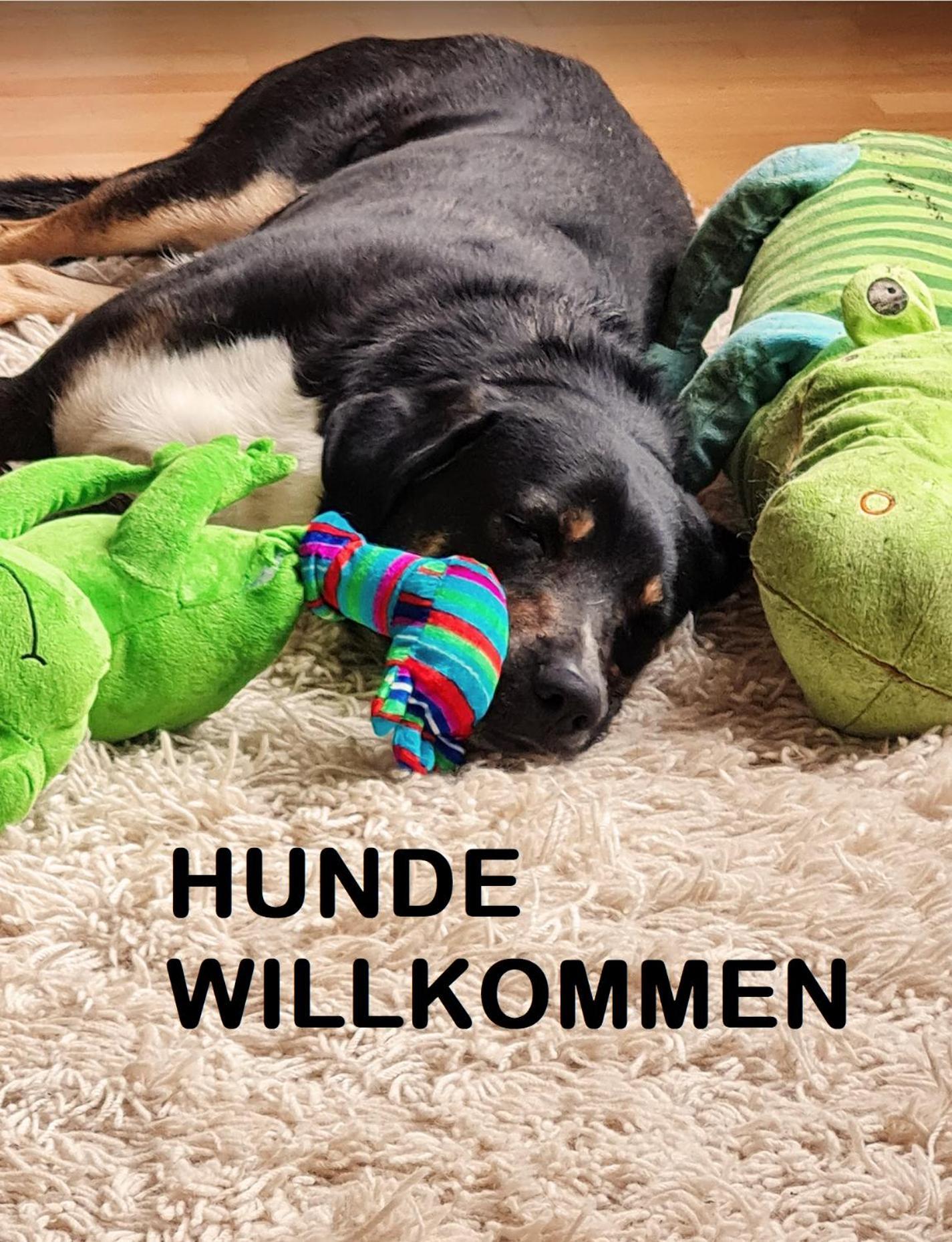 Muehle In Der Pferdewelt Reichenau Apartment Ngoại thất bức ảnh